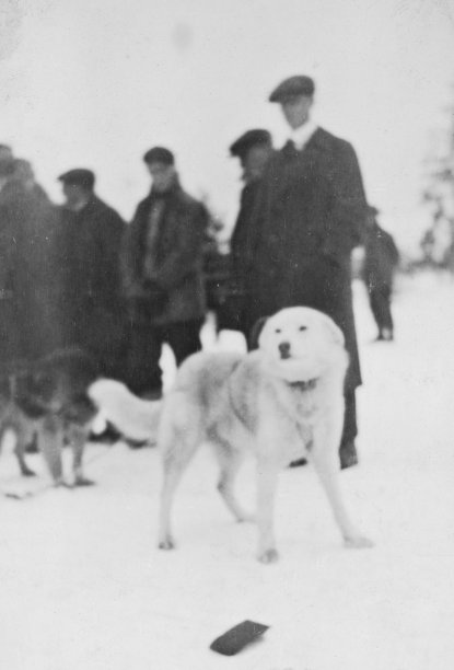 1921