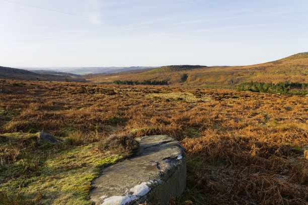 户外蓝天白云草地树林图片
