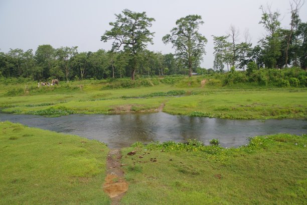 chitwan