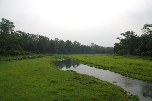 chitwan