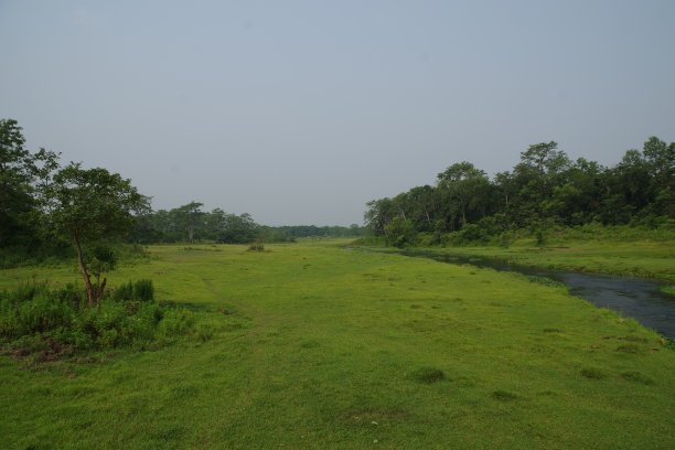 chitwan