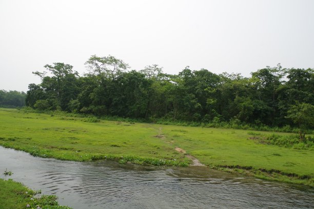 chitwan