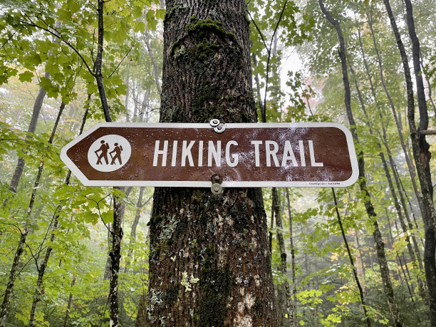 adirondack