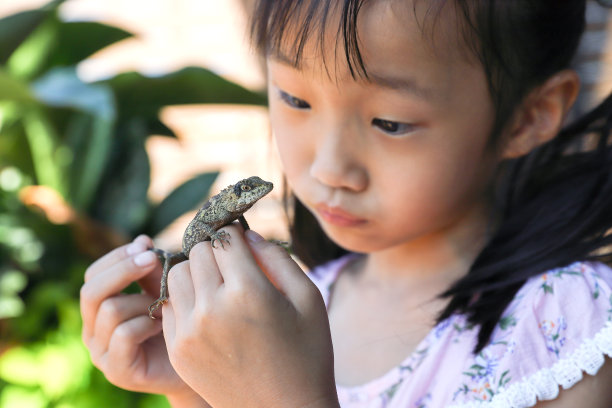 可爱的,生物学,相伴