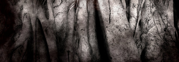 banyan