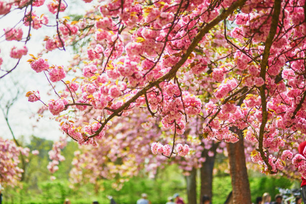 april