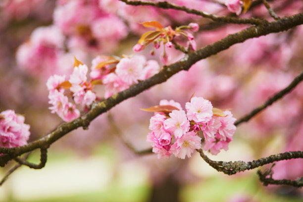 april