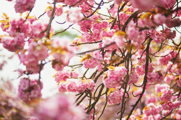 april
