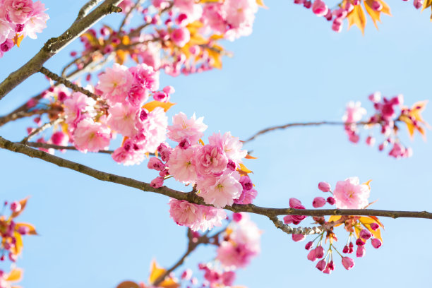 april