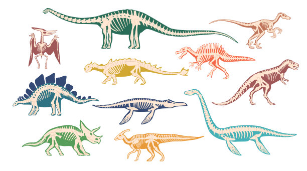 蛇颈龙化石