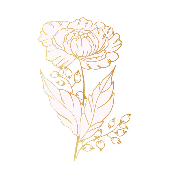 盆栽郁金香插画素材