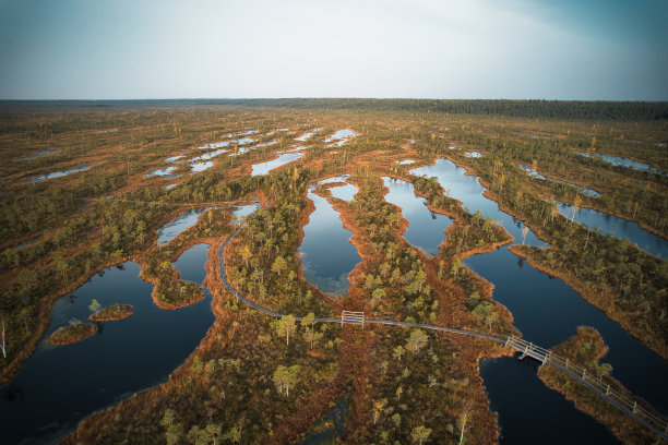 marsh