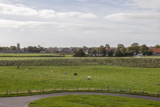 _texel