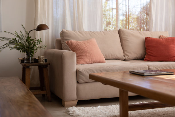 宽敞明亮的客厅沙发