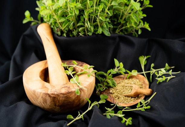 oregano