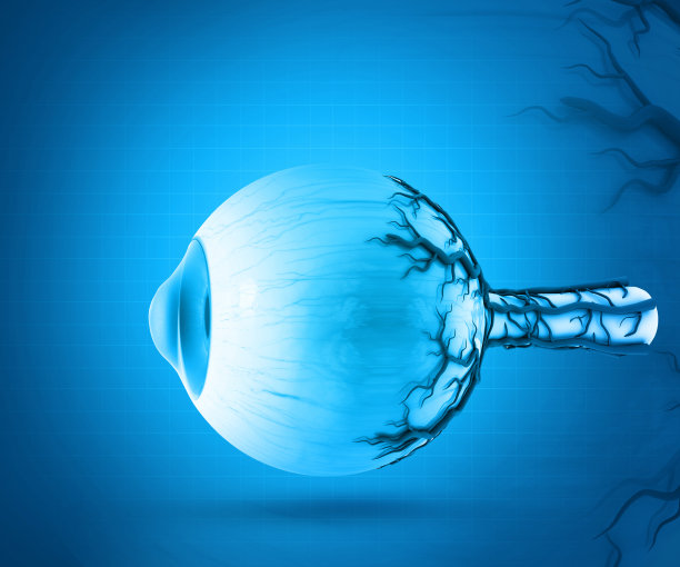 retina