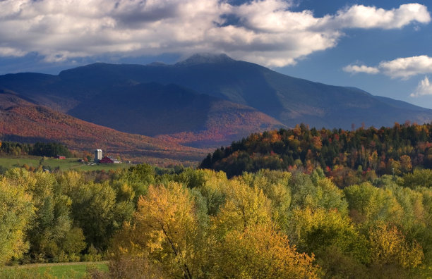 vt