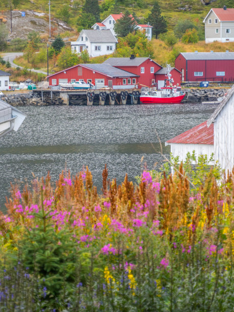 rorbu