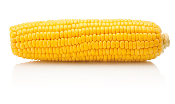 maize