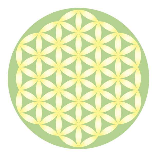 绿色精美圆形花纹图案