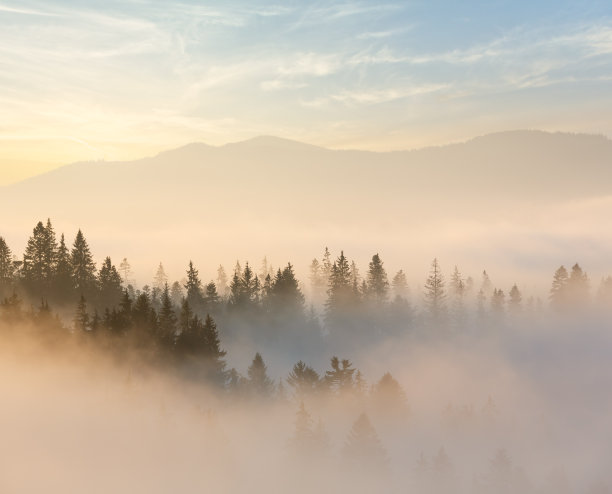 foggy