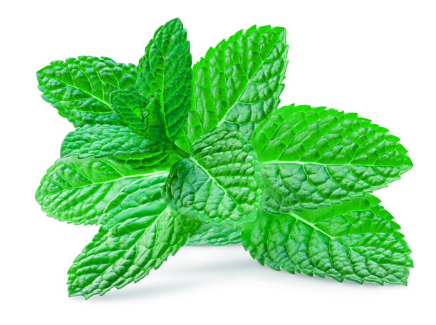 spearmint