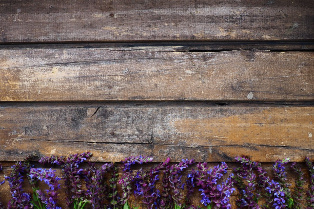 liatris