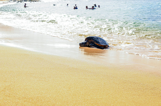 kauai