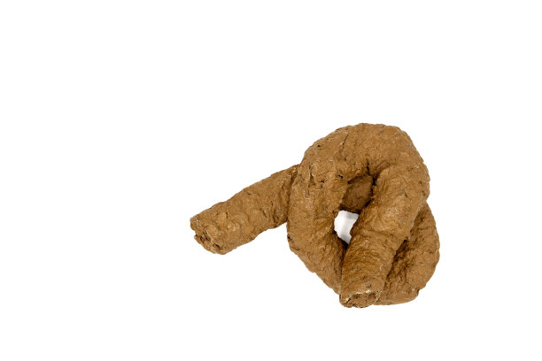 poo