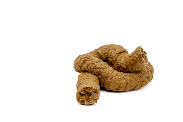 poo
