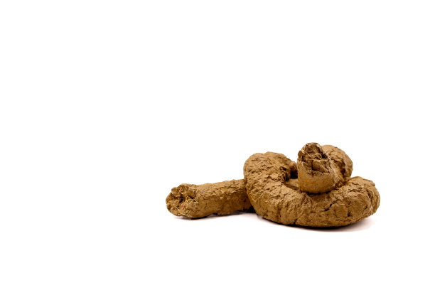 poo