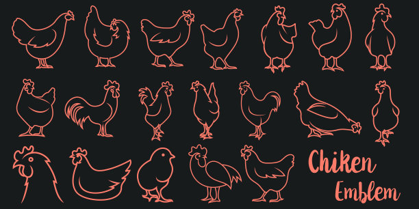 肉鸡logo