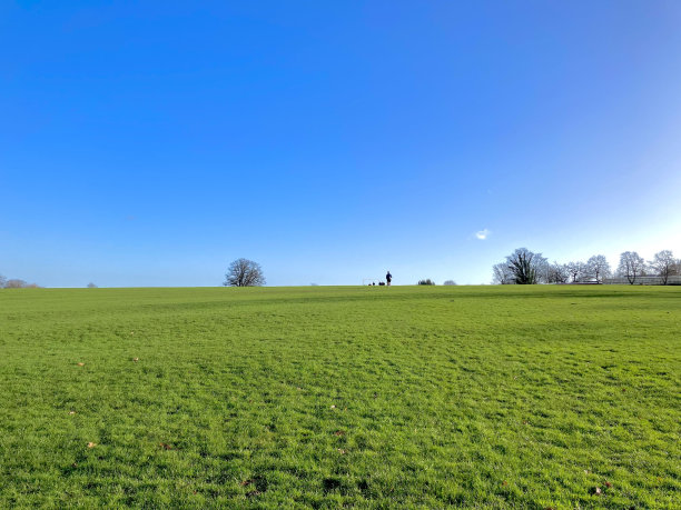 surrey