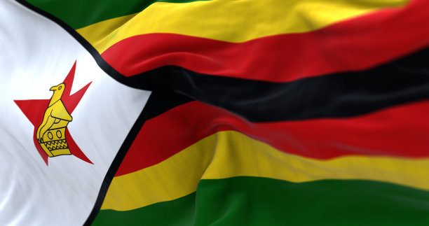 zimbabwean