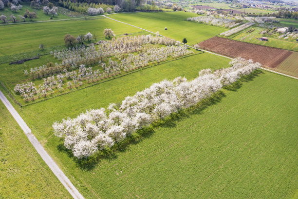 无人机研学实践
