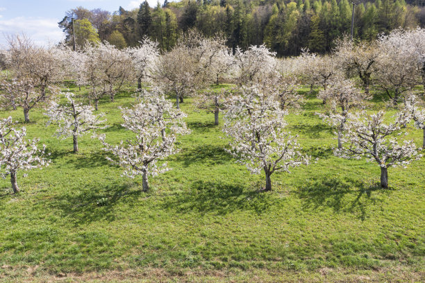 无人机研学实践