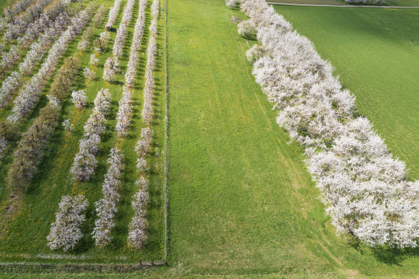 无人机研学实践