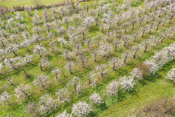 无人机研学实践