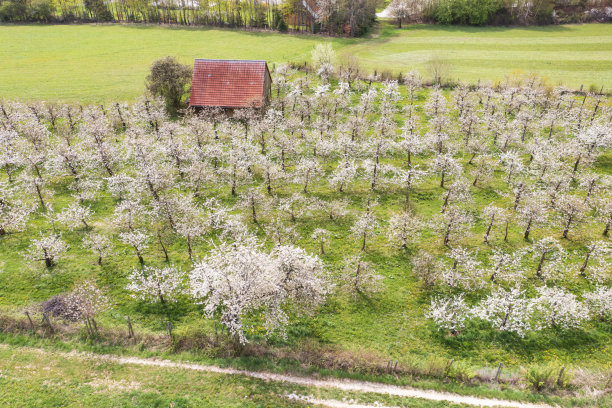 无人机研学实践