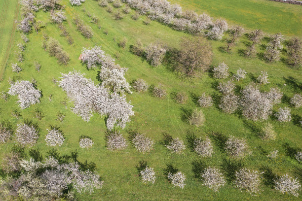 无人机研学实践