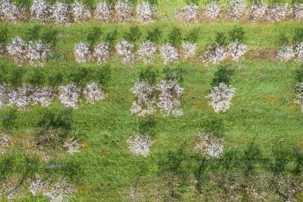 无人机研学实践