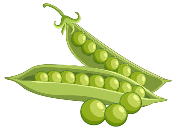 lathyrus