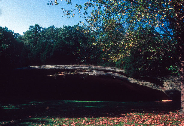 1998
