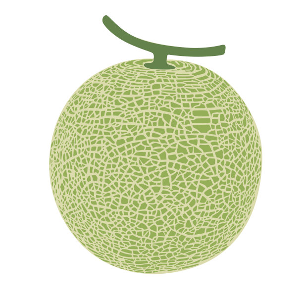 cantaloupe