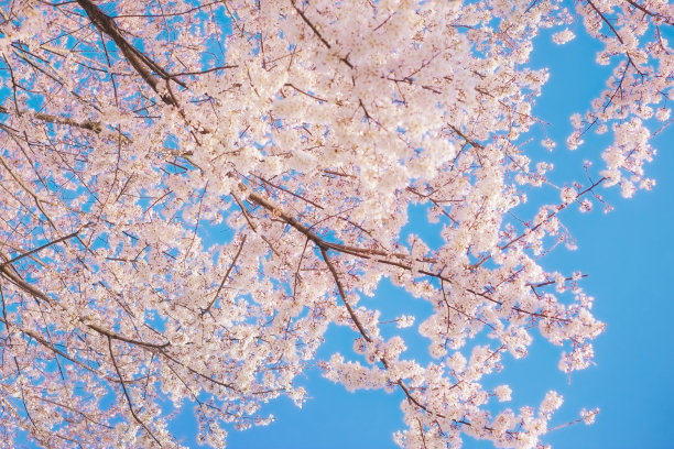 april