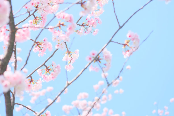 april