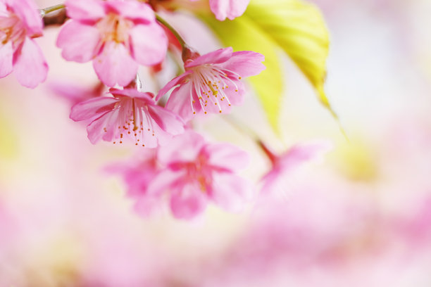 april
