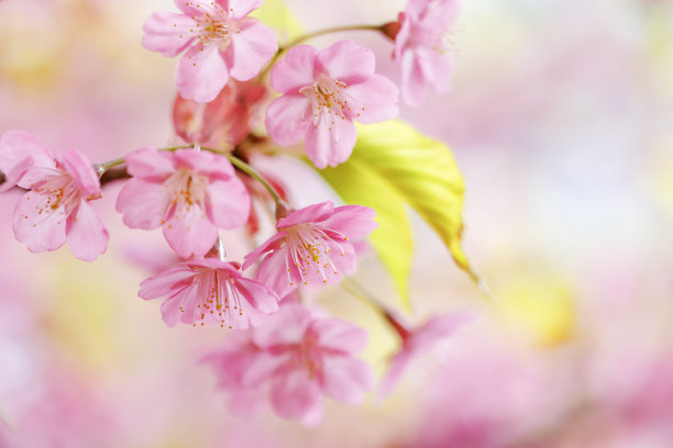 april