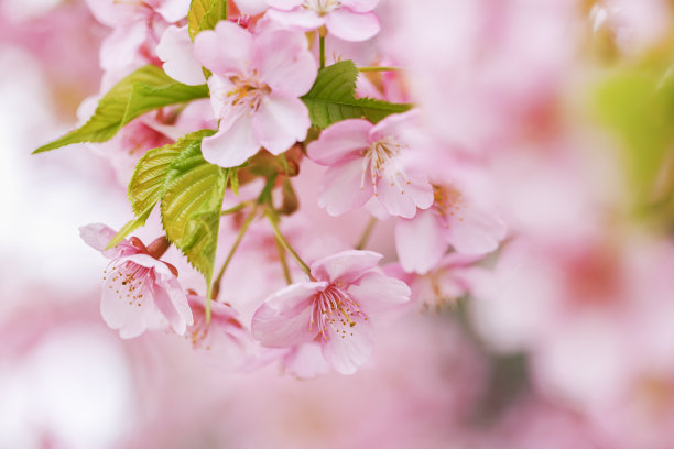 april
