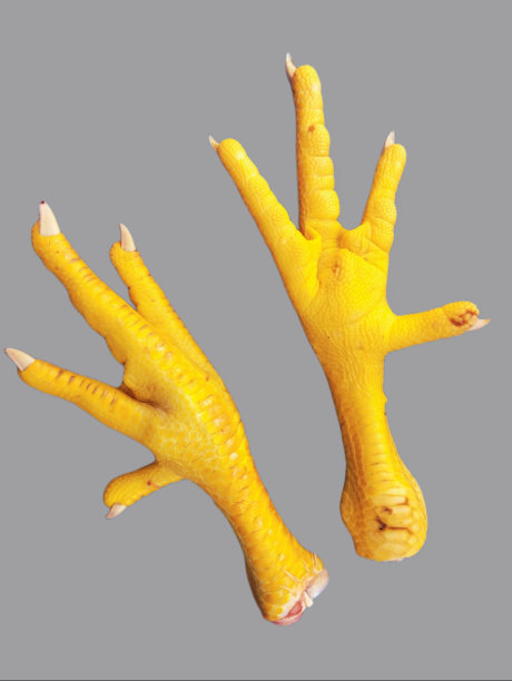 pincer